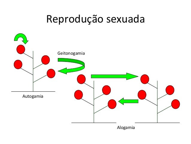alogamia y autogamia